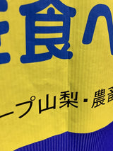 【2013/14】ヴァンフォーレ甲府 トレーニング シャツ / CONDITION:A- / SIZE:M(日本規格)