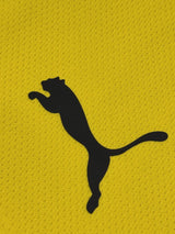 【2021/22】ドルトムント(H)/ CONDITION:A / SIZE:M / #19 / BRANDT / ブンデスパッチ / オーセンティック