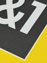 【2021/22】ドルトムント(H)/ CONDITION:A / SIZE:M / #19 / BRANDT / ブンデスパッチ / オーセンティック