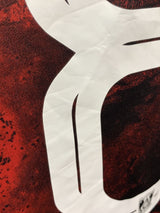 【2024】浦和レッズ(H)/ CONDITION:B+ / SIZE:M / #28 / SCHOLZ