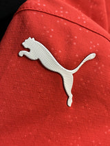 【2025】ポルトガル代表(H)/ CONDITION:A / SIZE:L / オーセンティック