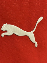 【2025】ポルトガル代表(H)/ CONDITION:A / SIZE:L / オーセンティック