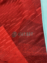 【2022】コロンビア代表(A)/ CONDITION:A / SIZE:L(日本規格) / オーセンティック