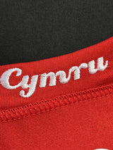 【2004/05】ウェールズ代表(H)/ CONDITION:NEW / SIZE:XL / #11 / GIGGS