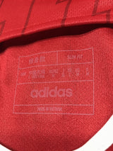 【2023/24】アーセナル(H)/ CONDITION:A / SIZE:XL(日本規格)/ #8 / ØDEGAARD / プレミア、NO ROOM FOR RACISMパッチ