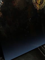 【2018】川崎フロンターレ(H)/ CONDITION:NEW / SIZE:L(日本規格)/ J1優勝記念プリント / 化粧箱入り