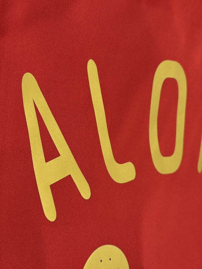 【2009】スペイン代表（H）/ CONDITION：New / SIZE：M / #14 / ALONSO / コンフェデ杯パッチ