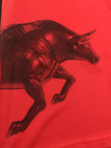 【2022/23】RBザルツブルク（4th）/ CONDITION：New / SIZE：M / #30 / SESKO / リーグ戦仕様