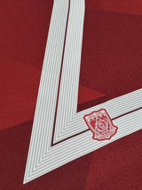 【2020】浦和レッズ（H）/ CONDITION：NEW / SIZE：M / #22 / ABE