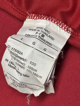 【2021】サンフレッチェ広島（3rd）/ CONDITION：A- / SIZE：L