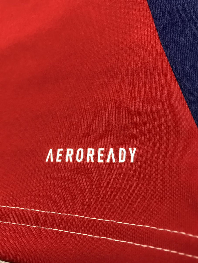 【2024/25】アーセナル（H）/ CONDITION：A / SIZE：L（日本規格）/ #49 / LEWIS-SKELLY / UCL仕様