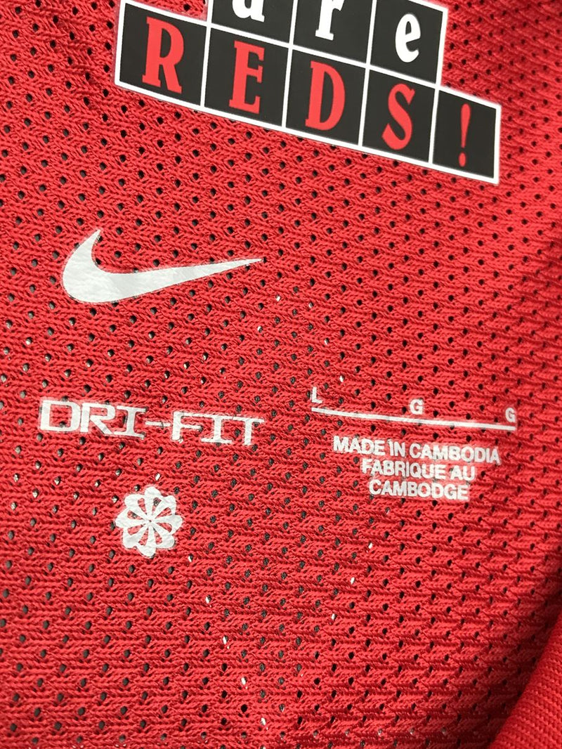 【2025】浦和レッズ（H）/ CONDITION：B+ / SIZE：L / #9 / HARAGUCHI / オーセンティック