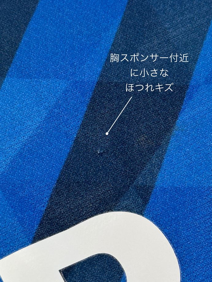 【2021】徳島ヴォルティス（H）/ CONDITION：A- / SIZE：2XL（日本規格）