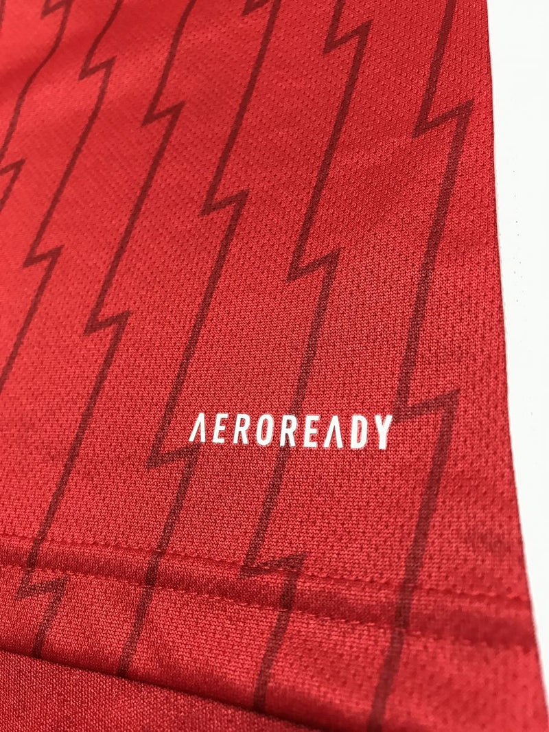 【2023/24】アーセナル（H）/ CONDITION：A / SIZE：XL（日本規格）/ #8 / ØDEGAARD / プレミア、NO ROOM FOR RACISMパッチ