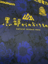 【2021】カターレ富山（Limited） / CONDITION：A / SIZE：L（日本規格）