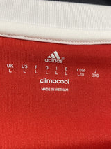 【2016/17】ウェールズ代表（H）/ CONDITION：A / SIZE：L / #11 / BALE