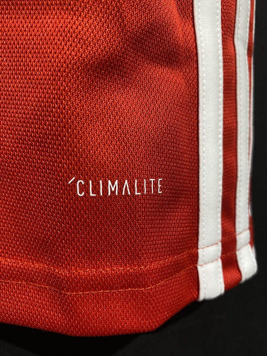 2018/19】ウェールズ代表（H）/ CONDITION：NEW / SIZE：S / #11