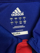 【2012/13】リヨン（A）/ CONDITION：A / SIZE：L / オーセンティック / スポンサー無し
